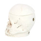 Gothic Weathered Skull Oil Burner and Wax Warmer